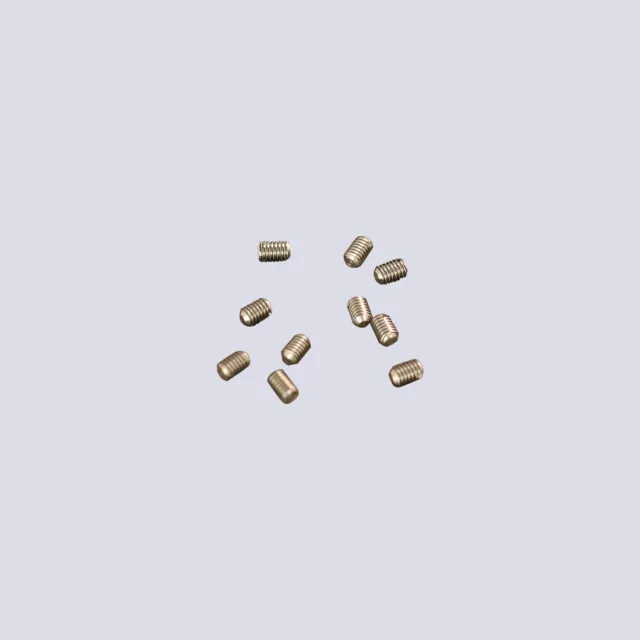 Prieur vis pour broche inox lot de 10