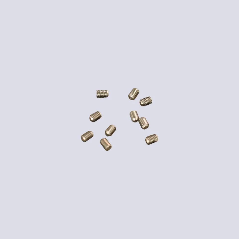 Prieur vis pour broche inox lot de 10