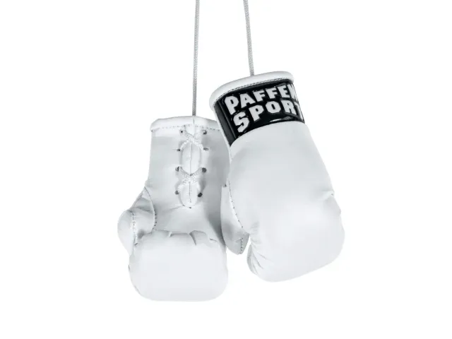 Paffen Sport Mini Colour mini gants de boxe déco suspendre
