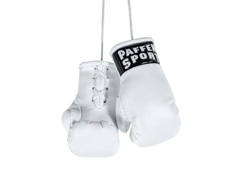 Paffen Sport Mini Colour mini gants de boxe déco suspendre
