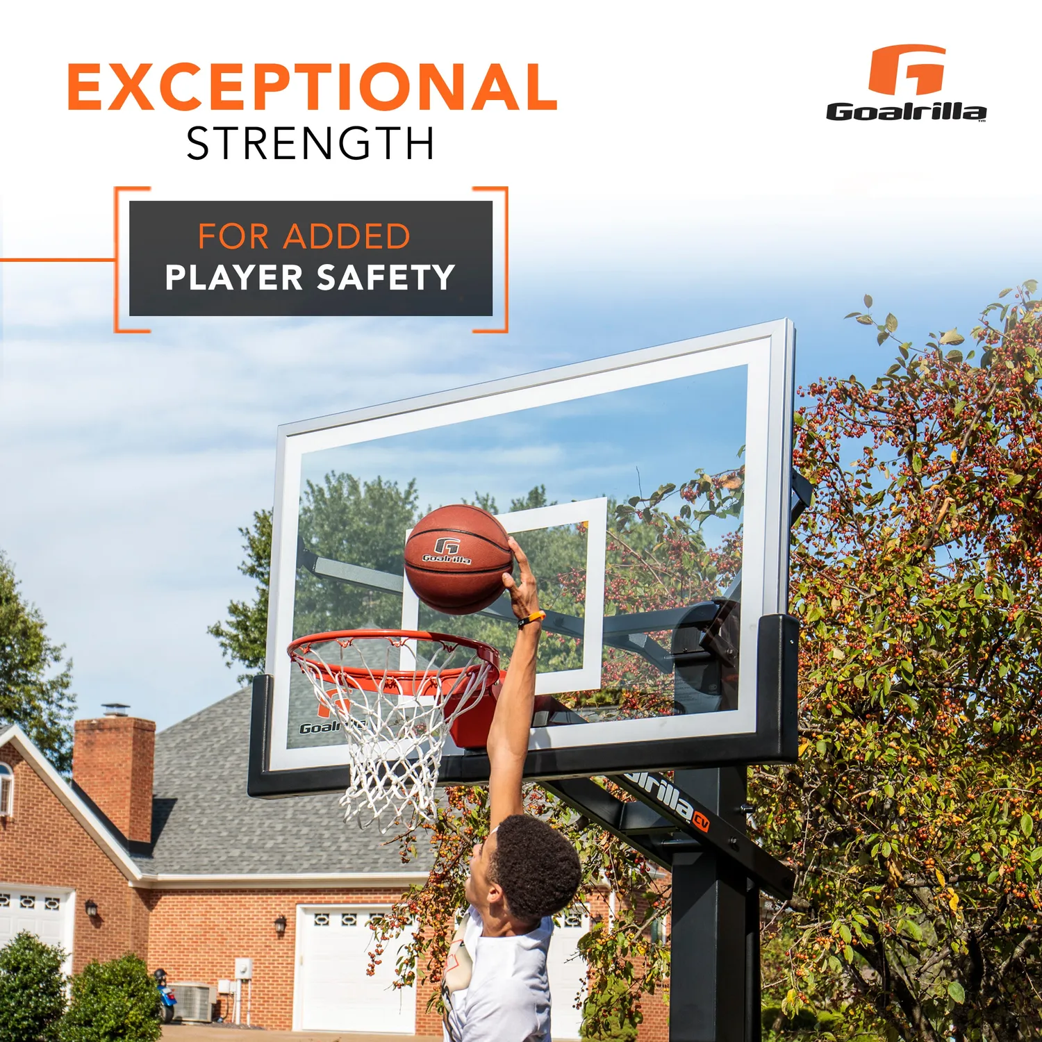 Goalrilla Universal protection panneau basket universelle