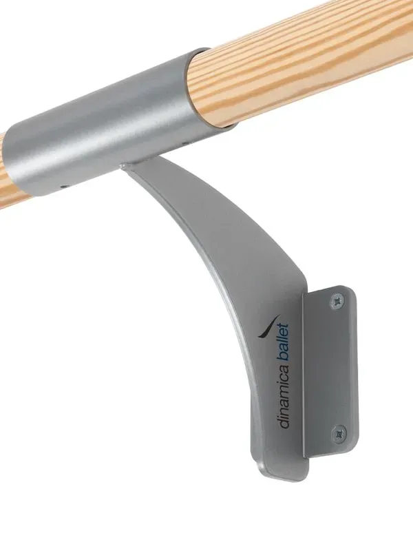 Dinamica Ballet Arabesque barre danse murale simple argent